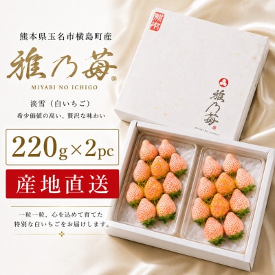 【先行予約】熊本県玉名市産 雅乃苺 淡雪 約220g×2pc