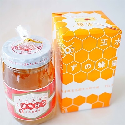 【熊本県産】純粋はちみつ600g (非加熱)