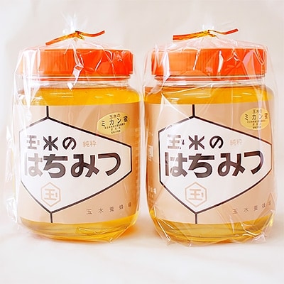 【熊本県産】純粋はちみつ2kg(1kg×2本) 非加熱