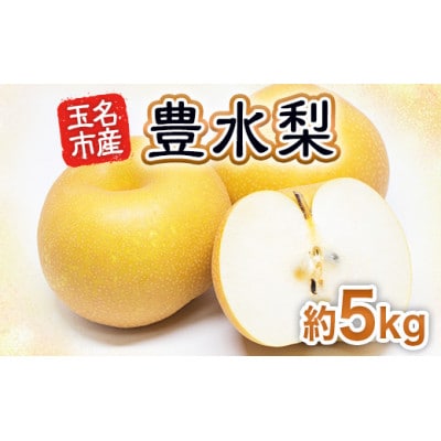 玉名市産 豊水梨 約5kg(10玉~20玉)