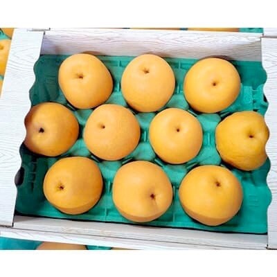 玉名市産 豊水梨 約5kg(10玉~20玉)