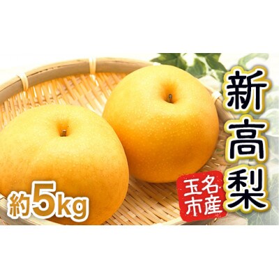 玉名市産 新高梨 約5kg(5玉~10玉)