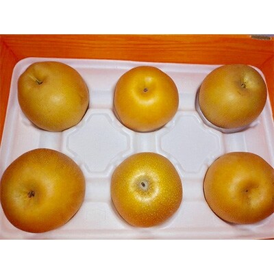 玉名市産 新高梨 約5kg(5玉~10玉)