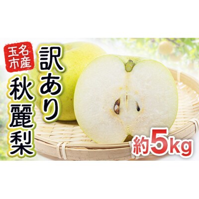玉名市産 訳あり秋麗梨 約5kg(10玉~20玉)