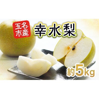 玉名市産 幸水梨 約5kg (10玉~20玉)