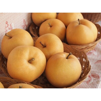 玉名市産 秋月梨 約5kg(10玉~20玉)