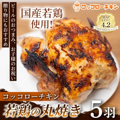 若鶏の丸焼きコッコローチキン　5羽【国内産】(玉名市)