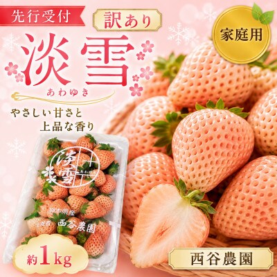【先行受付】訳あり 淡雪 約1kg