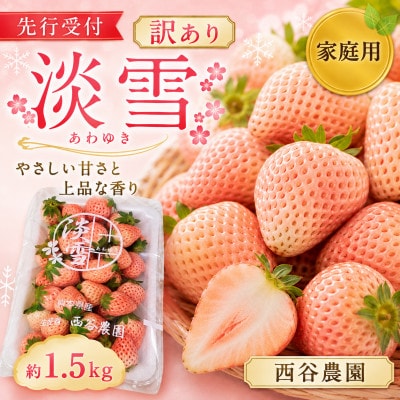 【先行受付】訳あり 淡雪 約1.5kg