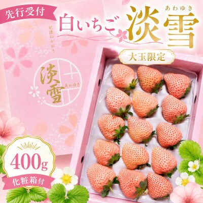 【先行受付】 白いちご「淡雪」(大玉限定400g)《化粧箱付》