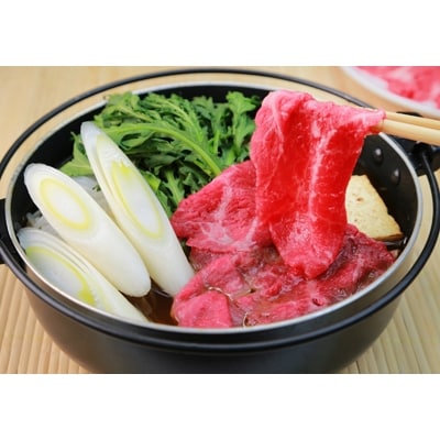 肥後の赤牛　すきやき用　500g(熊本県産和牛)【玉名市】