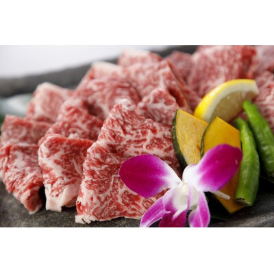 くまもと黒毛和牛　焼肉用500g(玉名市)
