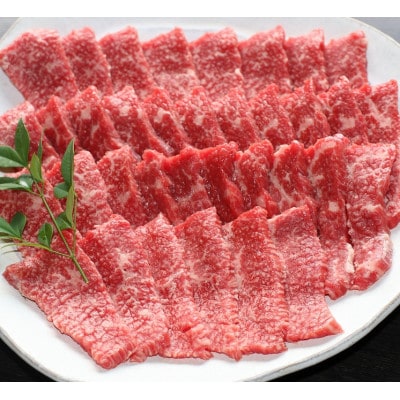 【毎月定期便】【GI認証】くまもとあか牛　焼肉用400g(玉名市)全6回