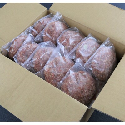 【毎月定期便】馬肉ハンバーグ150g×10個(玉名市)全6回