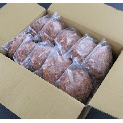 【毎月定期便】熊本県産　赤牛ハンバーグ　150g×10個(玉名市)全6回