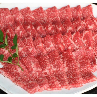 【毎月定期便】【GI認証】くまもとあか牛　焼肉用400g(玉名市)全3回