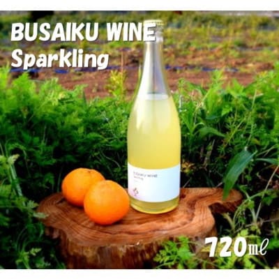 玉名市産発泡性辛口みかんワイン　ぶさいくワイン スパークリング　720ml