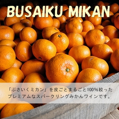 玉名市産発泡性辛口みかんワイン　ぶさいくワイン スパークリング　720ml
