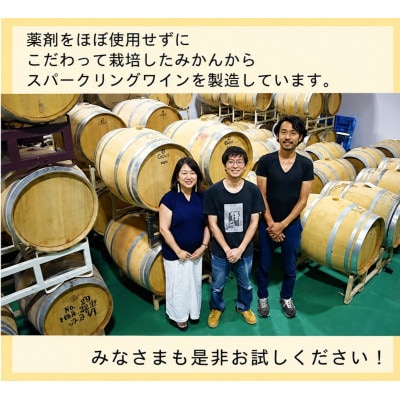 玉名市産発泡性辛口みかんワイン　ぶさいくワイン スパークリング　720ml