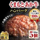 【さとふる限定】くまもとあか牛ハンバーグ150gx5個　熊本県玉名市
