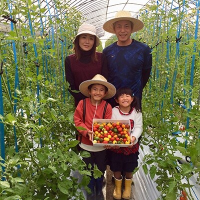 サザキ農園のカラフルミニトマト彩りバラエティーセット3kg