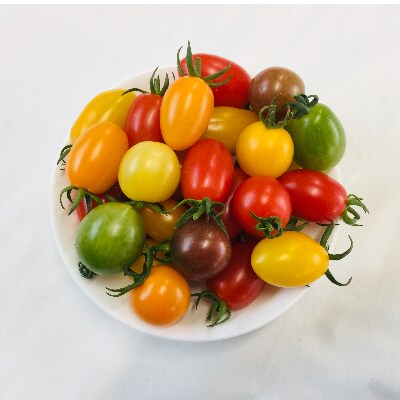 サザキ農園の「ぷちぷよ」入りミックスミニトマト彩りバラエティーセット3kg