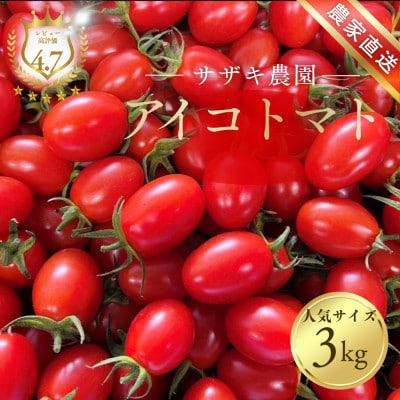 サザキ農園のアイコ3kg