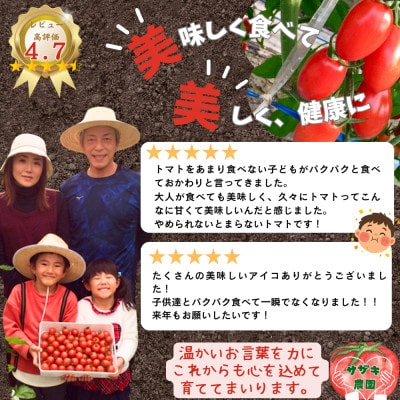 サザキ農園のアイコ3kg