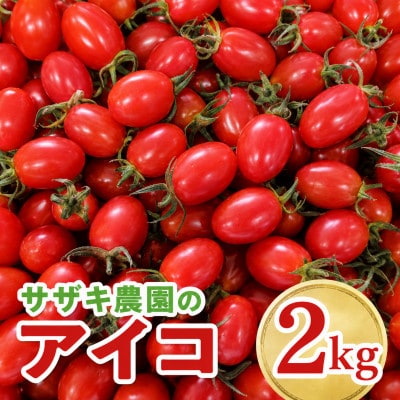 サザキ農園のアイコ2kg