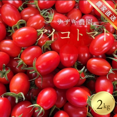 サザキ農園のアイコ2kg