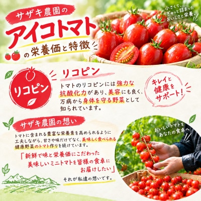 サザキ農園のアイコ2kg