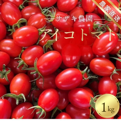 サザキ農園のアイコ1kg