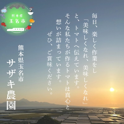 サザキ農園のアイコ1kg