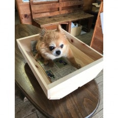 犬猫プランター　ラージサイズ
