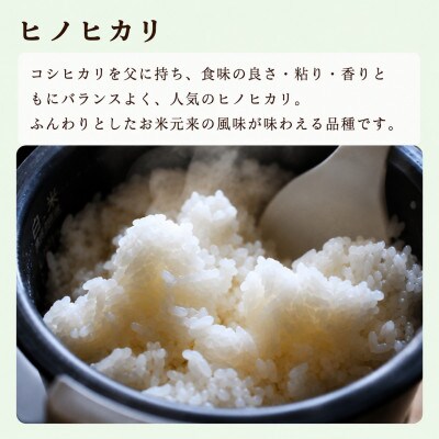 熊本県産ヒノヒカリ(精米) 5kg