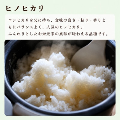 熊本県産ヒノヒカリ(精米) 5kg×2個