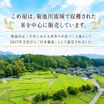 熊本県玉名市産　森のくまさん 5kg