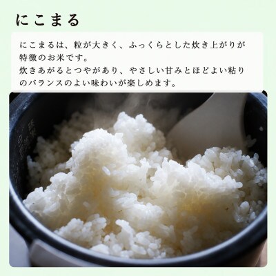 令和7年産 にこまる 10kg