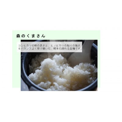 【毎月定期便】熊本県玉名市産　森のくまさん 5kg全3回