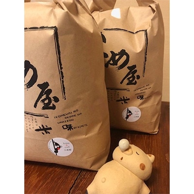 【毎月定期便】熊本県玉名市産　森のくまさん 10kg(5kg×2袋)全3回