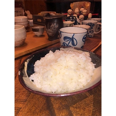 【毎月定期便】熊本県玉名市産　森のくまさん 10kg(5kg×2袋)全3回