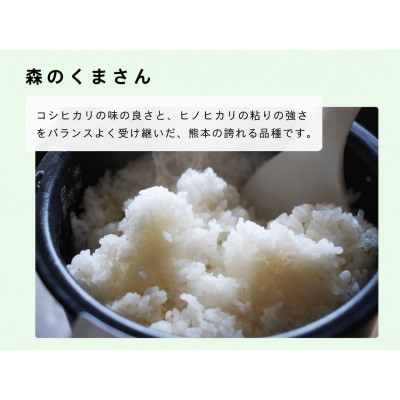 【毎月定期便】熊本県玉名市産　森のくまさん 10kg(5kg×2袋)全3回