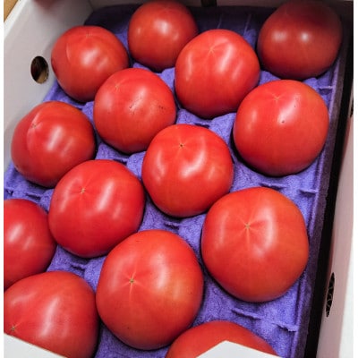蘇鉄園芸のトマト三昧セット (ミニトマト2kg + 桃太郎トマト14個)