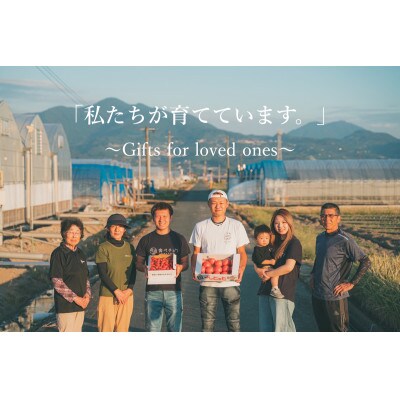 旨味がジュワッと昔ながらの味わい!!「うみとまと4キロ　18玉～32玉」