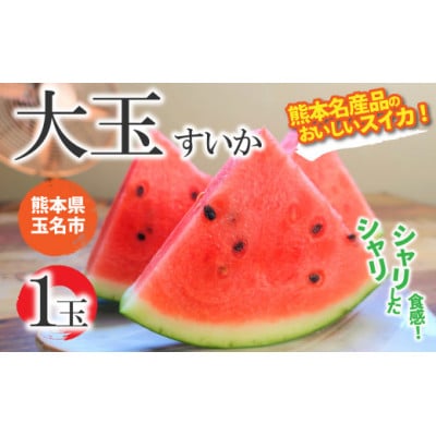 熊本県産 大玉スイカ 1玉