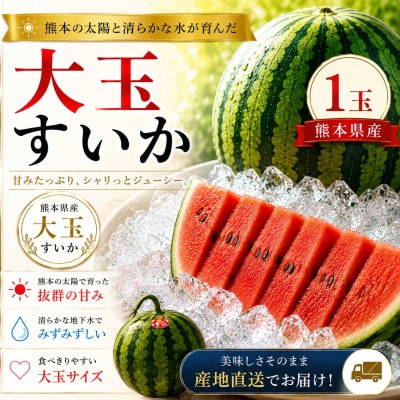 熊本県産 大玉すいか 1玉