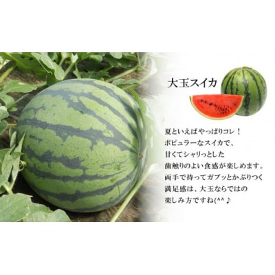 熊本県産 大玉スイカ 1玉