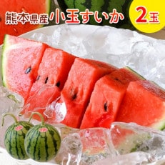 熊本県産 小玉スイカ 2玉