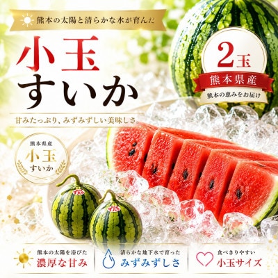 熊本県産 小玉すいか 2玉
