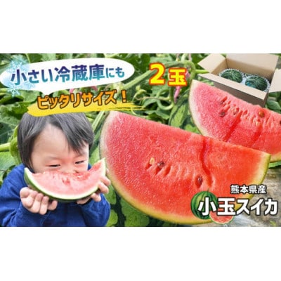 熊本県産 小玉スイカ 2玉